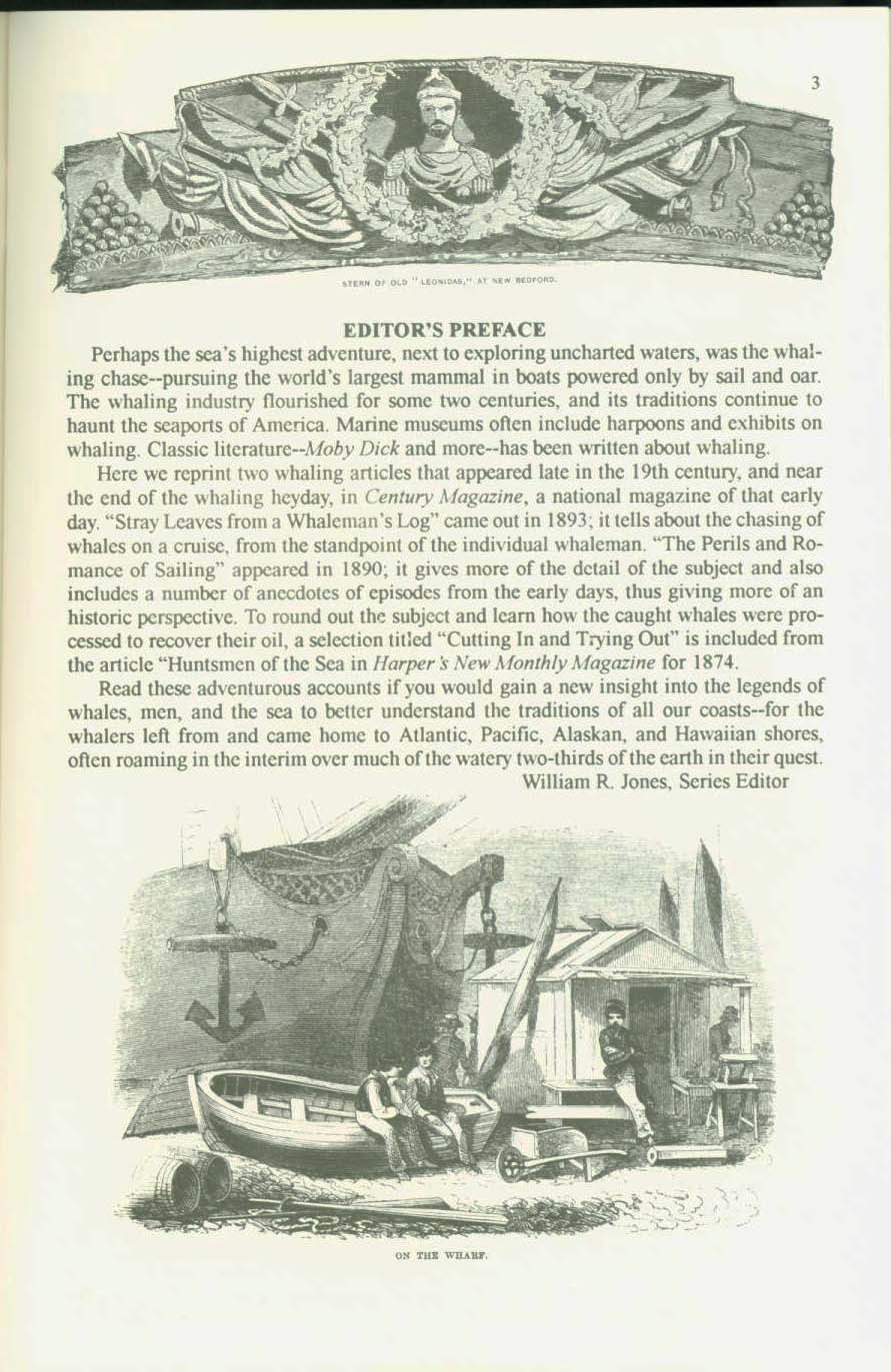 19th CENTURY WHALING TALES. VIST0089b